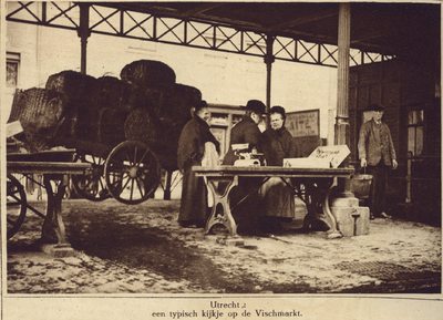 870188 Gezicht op de visafslag op de Kalisbrug aan de Vismarkt te Utrecht.
